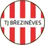TJ Březiněves